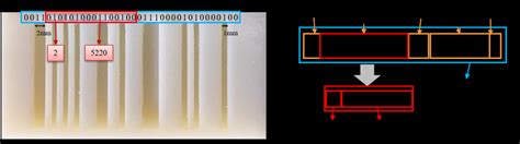 Image result for Object Code Examplk3