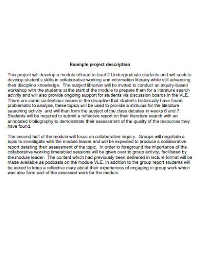 Image result for Project Activity Description Sample