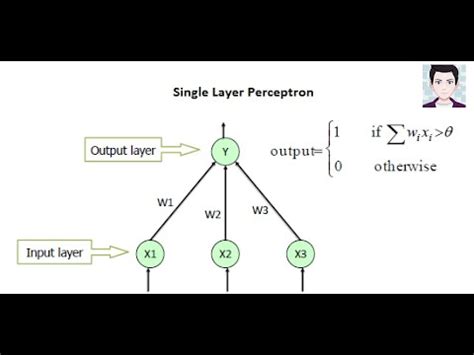 Image result for Perceptron Algorithm Python