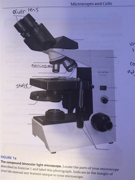 Image result for Compound Light Microscope Parts Worksheet