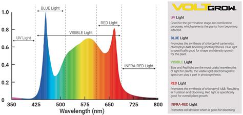 Image result for 6K LED Spectrum