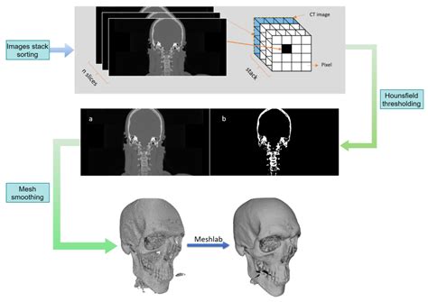 Résultat d’images pour Python Skull Diagram