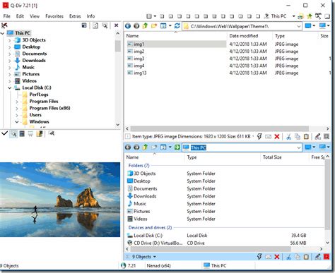 Image result for Q-Dir Windows 11