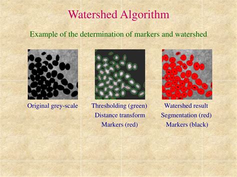 Image result for Binary Morphology