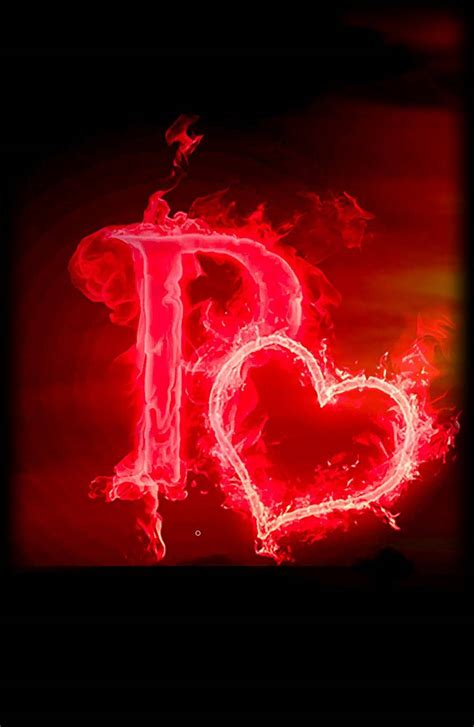 P Integral Rules に対する画像結果