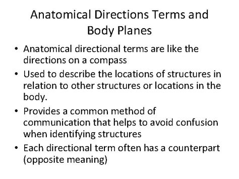 Image result for Proximal Distal Anatomical Position