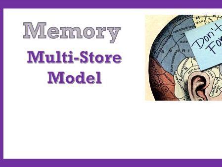 Image result for Multi-Store Memory Model GCSE Pyschology