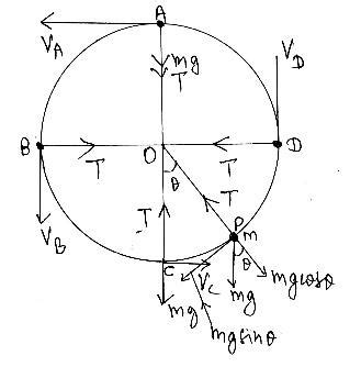 Image result for Circular Motion Class 11