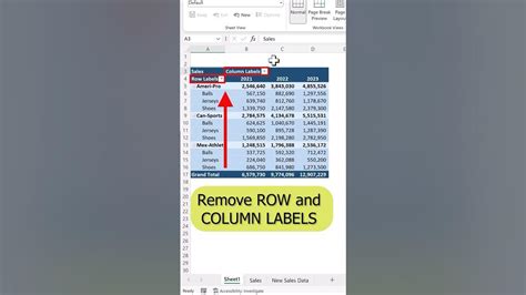 PivotTable Remove Blank Row Label に対する画像結果