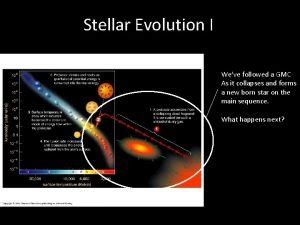 Image result for Stellar Evolution Section Answer Key