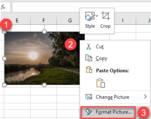 Image result for Excel Transparent Background