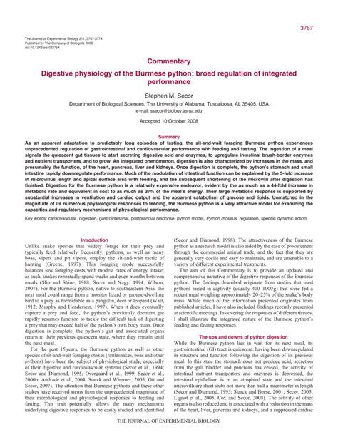 Image result for Python Digestive System
