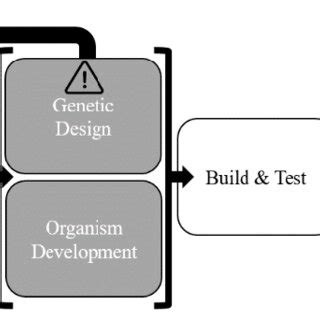 Image result for Biotech Process Map