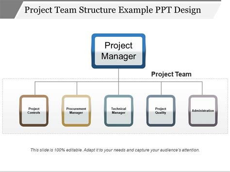 Image result for Project Team Structure Diagram