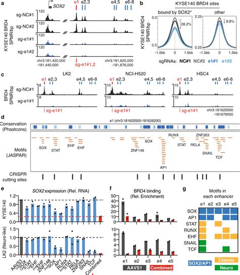 Toradh íomhá ar ChIP-seq Enhancer