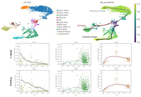 Image result for RNA-seq Data
