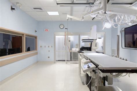 Image result for Lab Rats Bionic Chip