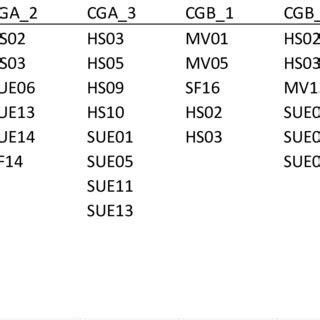 Toradh íomhá ar Best Coding Scheme