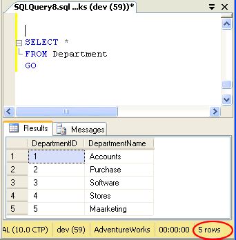 EXEC SQL Example with Parameter in SQL Server に対する画像結果