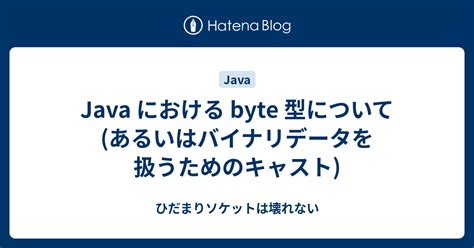 Image result for Java Byte Array