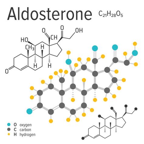Afbeeldingsresultaten voor Aldosterone