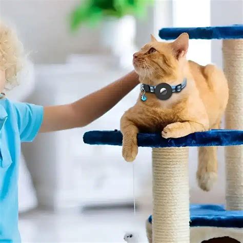 Collier GPS Chat に対する画像結果