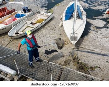 Image result for Disaster Management Simpie Image