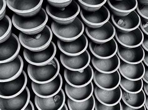 Image result for Empty Plot Graph