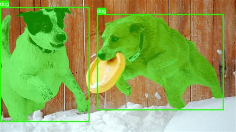 Coco Bounding Box Format に対する画像結果