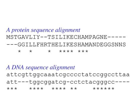 Toradh íomhá ar Protein Sequence Example
