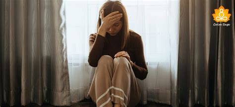 Image result for Nervous System Self-Regulation Chart