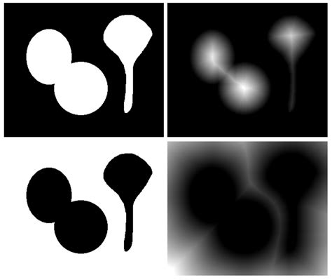 Image result for Euclidean Distance Transform for Instance Segmentation