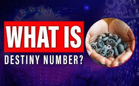 Image result for What Is a Destiny Number