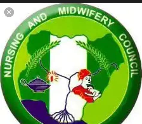 Afbeeldingsresultaten voor Example of Colur Coding Data in Nursing Research