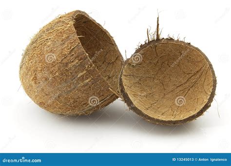 Coconut Shell に対する画像結果