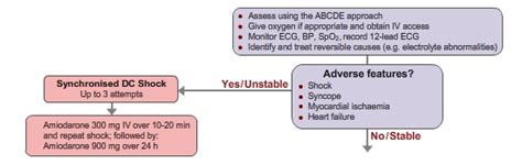 Image result for Als Broad Complex Tachycardia Algorithm