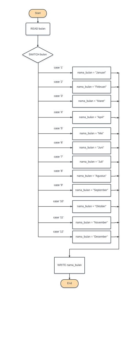Flowchart Switch Example に対する画像結果