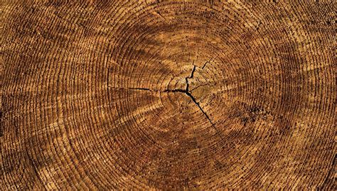 Afbeeldingsresultaten voor Log Analytics to Splunk