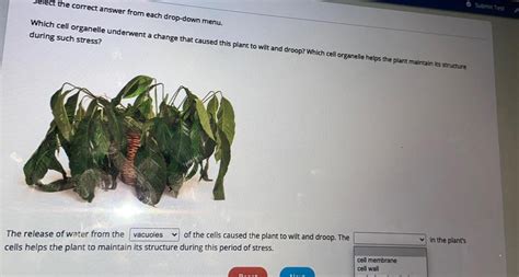 Toradh íomhá ar Drop Down Menu Sample