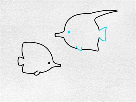 Different of Fish Drawing Easy に対する画像結果