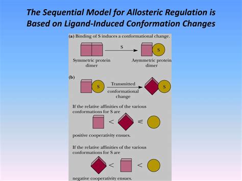 Image result for Simple Sequential Model of Allosteric Enzyme