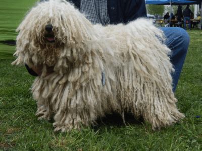 Image result for Commodore 64 Joystick