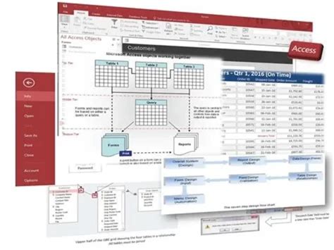 Image result for Microsoft Access Database Developer