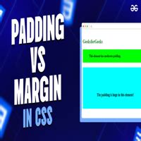 Toradh íomhá ar Difference Between Padding and Margin CSS