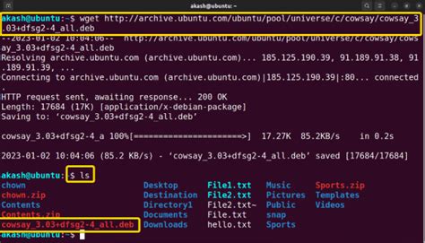 Dpkg Interface に対する画像結果