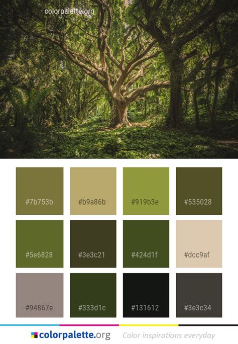Image result for Is Arboreal Color
