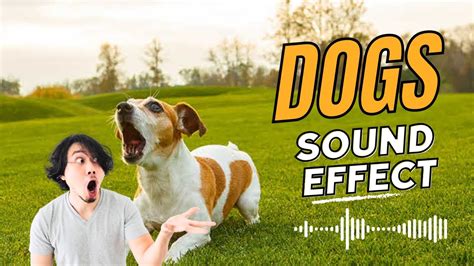 Virtual Dog Barking Sound に対する画像結果