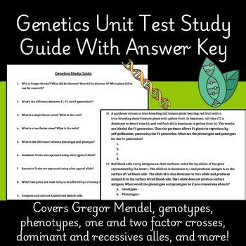 Image result for Genetics Study Guide Worksheet