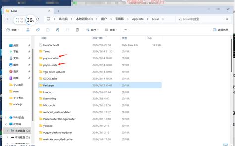Image result for Pnpcahcepurger File Path
