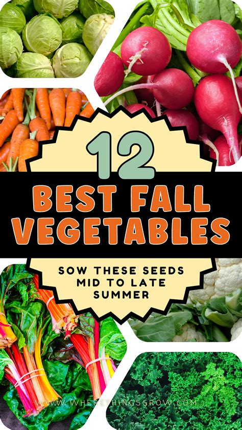 Image result for Best Fall Vegetables to Grow